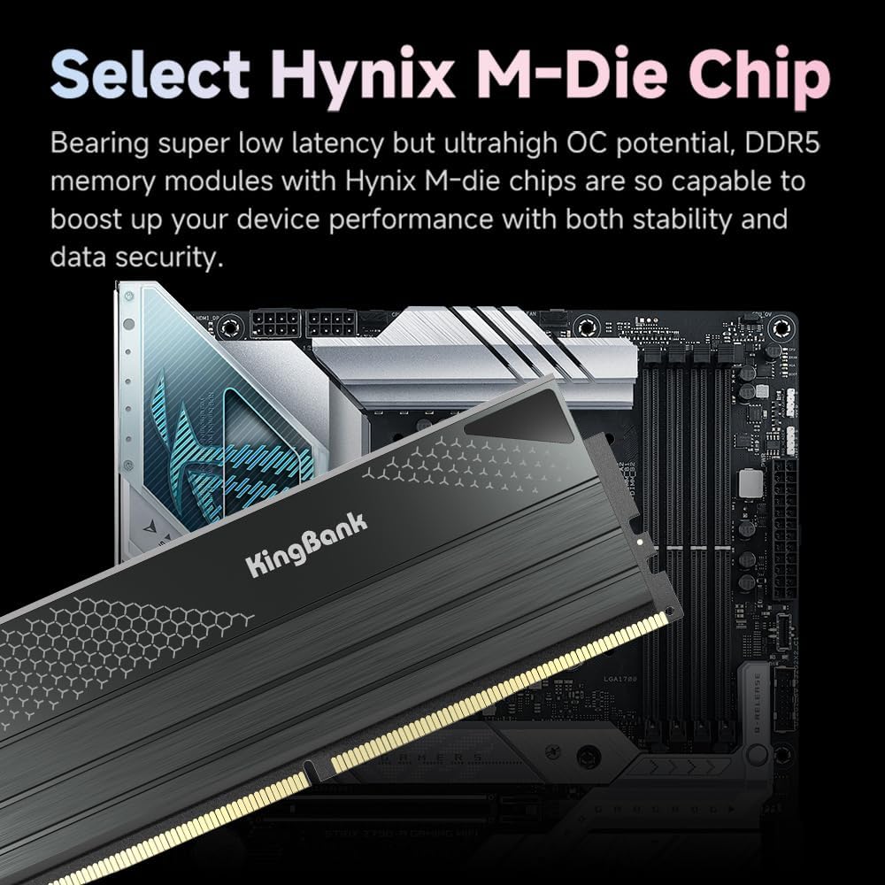 KingBank DDR5 KFXB Memory 48GB - đánh giá và giá Ddr5 4800Mhz
